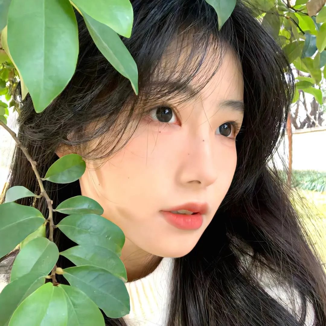 党小组长